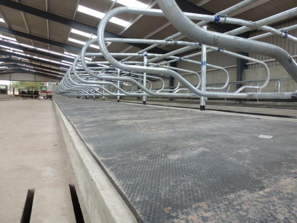 Cubicle Cow Mats